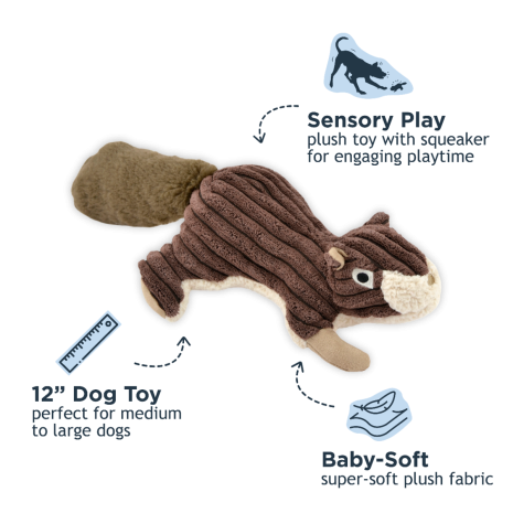 Squirrel with Squeaker Dog Toy