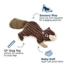 Squirrel with Squeaker Dog Toy