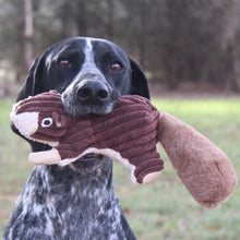 Squirrel with Squeaker Dog Toy